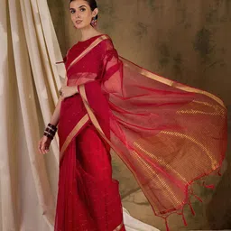 SHADOW & SAINING Embellished Sequinned Banarasi Saree-image-59