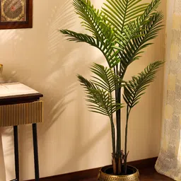 Elemntl Green 1 Pieces Palm With Pot-image-42