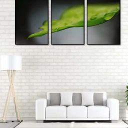 999store Black & Green Printed Leaves Paintings - Set of 3-image-68