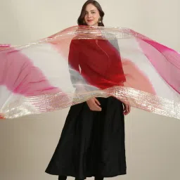 Dupatta Bazaar Red & Pink Zari Work Dupatta image 1