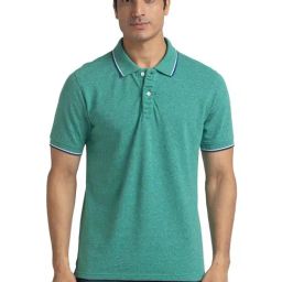 ColorPlus Green Cotton Tailored Fit Polo T-Shirt-picture-30