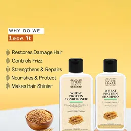 NATURE LEAGUE Set Of 2 Wheat Protein & Shea Butter Shampoo And Conditioner - 200 ml Each image 5