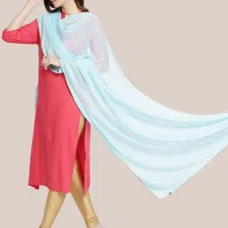 Dupatta Bazaar Sky Blue Self Pattern Dupatta image 1