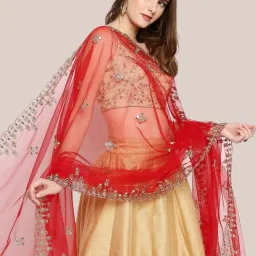 Dupatta Bazaar Red Zari Work Dupatta image 4