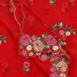 Dupatta Bazaar Red Embroidered Dupatta image 5