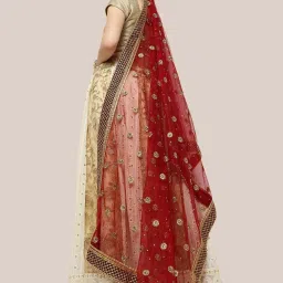 Dupatta Bazaar Maroon Zari Work Dupatta image 2