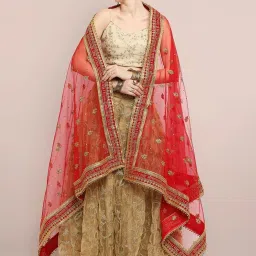 Dupatta Bazaar Red Zari Work Dupatta image 1