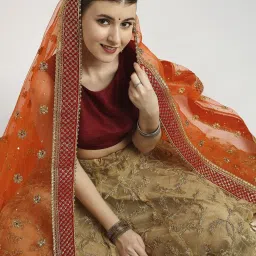 Dupatta Bazaar Orange Zari Work Dupatta image 4