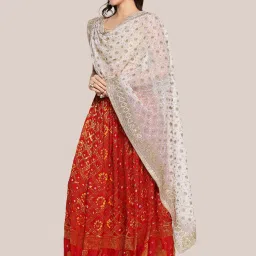 Dupatta Bazaar White Embroidered Dupatta image 3