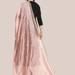 Dupatta Bazaar Peach Zari Work Dupatta image 2