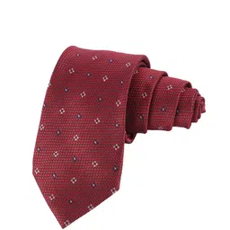 Alvaro Castagnino Men Maroon & White Woven Design Broad Tie-picture-50