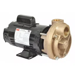 Dayton 3/4 HP Single Phase Turbine Pump, 53EA96-image-78