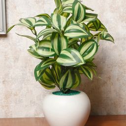 Foliyaj Artificial Watermelon Leaves Plant In 4 Inch Tall White Apple Shaped Pot-8