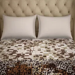 Spaces Atrium Plus Brown Cotton 210 TC Bed Sheet Set image 4