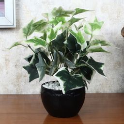 Foliyaj Artificial Ivy Plant In Black Bowl Shaped Pot With Embedded White Stones-image-5