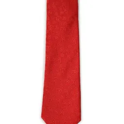 Peter England Red Tie-picture-22