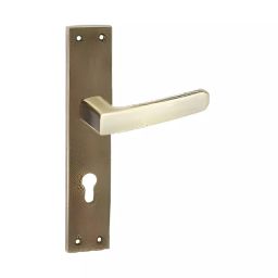 Europa Mortise Plate Handle Zinc Antique Brass Finish 9 inch (228 mm), M516961N709AB-image-91