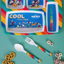 Servewell Multicolor Melamine Part Plate - Set of 3-4