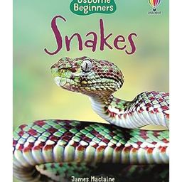 Usborne Snakes - English-16