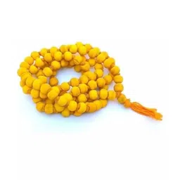 Divine souvenirs Unisex Artificial Beaded Minimal Chain-76