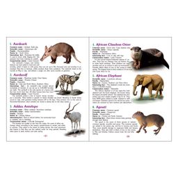sawan Amazing Monuments & Wild Animals Encyclopedia Set of 2 - English image 4