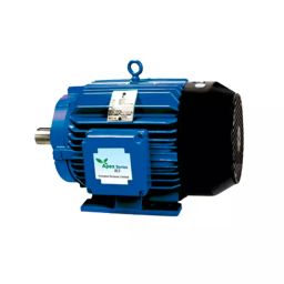 CG Power Three Phase 20 HP 8 Pole Foot Mounted IE2 Cast Iron Body Induction Motor-image-97