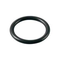 AS ONE O-Ring Fluoro Rubber 5.8 mm, P-6-image-28