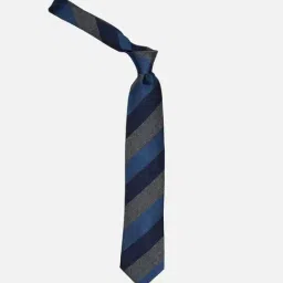 Louis Philippe Blue Striped Tie-picture-18