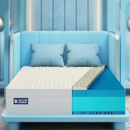 The Sleep Company SmartGrid King Size Bed Back Pain Relief Orthopedic Royale Mattress - 10 inches-48