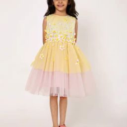 A Little Fable Girls Yellow & Pink Applique Dress-image-22