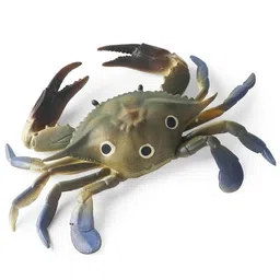 SUPER TOY Aquatic Crab Animal Toy for Kids Realistic Fish Squishy Figurines Rubber Sea Animal Soft Squeeze Toy for Boys Girls Lookalike Ocean Creatures Educational Gift-picture-39