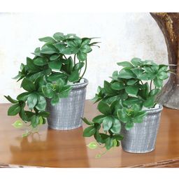 Foliyaj Set Of 2 Artificial Schefflera Plants In Grey Pots Embedded With White Stones (Set Of 2)-22