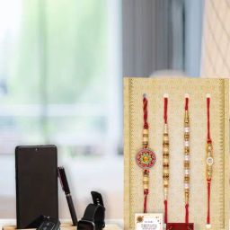 eCraftIndia Assorted Multicolor Rakhi with Holder-image-11