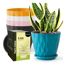 JD FRESH Set of 5 Plastic Wave Flower Pots for Home Planters - Multi color-picture-39