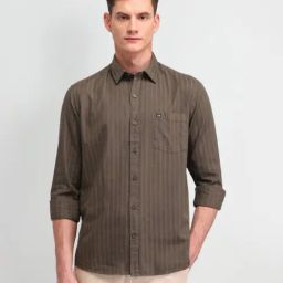 Arrow Sport Brown Cotton Slim Fit Striped Shirt-image-9