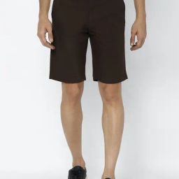 Allen Solly Brown Slim Fit Cotton Shorts-picture-25