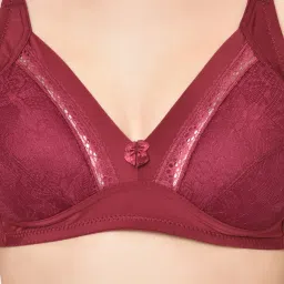 Da Intimo Maroon Non Wired Non Padded Full Coverage Bra image 5