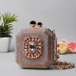 Rocia Champagne Embellished Small Box Clutch-33