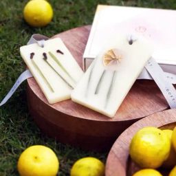 Doft Multicolor Lemon Grass & Clove Wax Tablets Candle - Set of 2 image 5