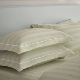 Mulberry Living Cotton Elysian Ivory 300 TC Set of 2 Pillow Covers-image-30