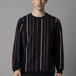 Louis Philippe Black Cotton Regular Fit Striped Sweatshirt-picture-37