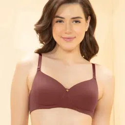 Amante Wine Regular Fit Solid T-Shirt Bra-picture-38