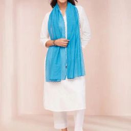 Fabindia Sky Blue Woven Pattern Dupatta-picture-24