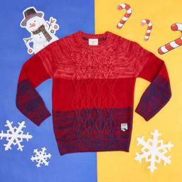 Pantaloons Junior Kids Red & Blue Textured Pattern Full Sleeves Sweater-image-8