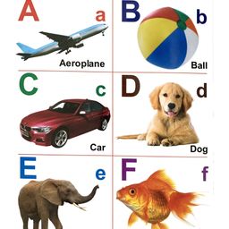 scholars hub All In One Picture Book - English image 3