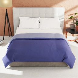 Bianca Ultra Soft Grape & Lavender 152 TC Micro Fabric Double Reversible Comforter For All Weather image 1