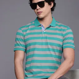 Allen Solly Striped Polo Collar T-shirt-picture-26