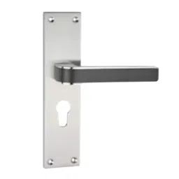 Tasa Cylindrical Mortise Handle Stainless Steel Finish 254 mm (10 Inch), Q-35-image-45