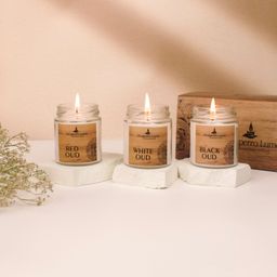 Parkash Candles Gift Set of 3  Long Lasting Portable Jar Aromatherapy Candles - Golden-image-39