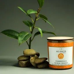 MI AMOR PARIS Sacral Chakra Jasmine Scented Lead Free Wick Jar Candle-picture-3